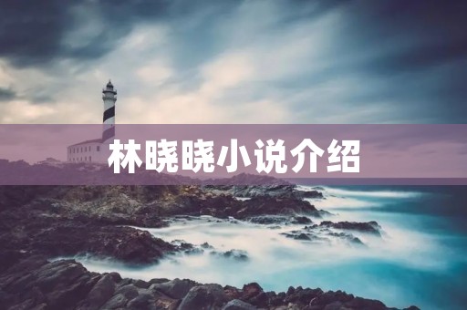 林晓晓小说介绍