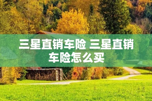 三星直销车险 三星直销车险怎么买
