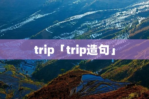 trip「trip造句」