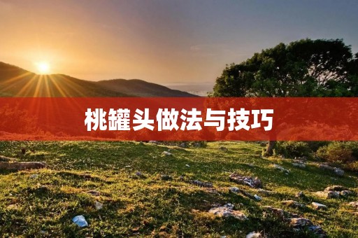 桃罐头做法与技巧：尽享美味桃罐头的制作过程