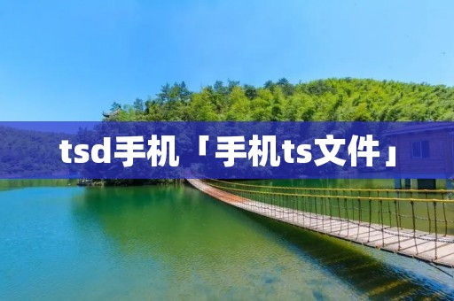tsd手机「手机ts文件」