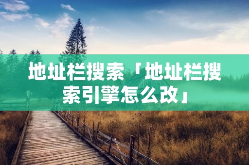 地址栏搜索「地址栏搜索引擎怎么改」