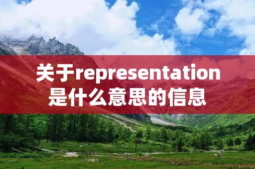 关于representation是什么意思的信息