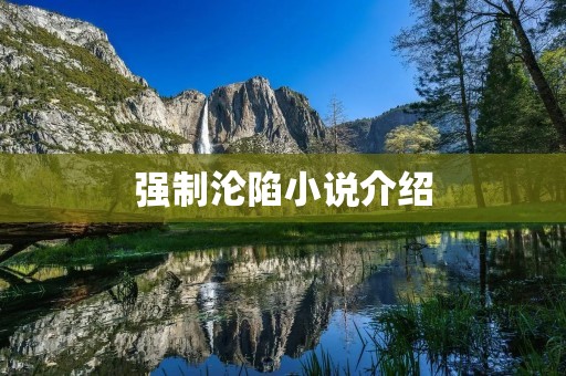 强制沦陷小说介绍