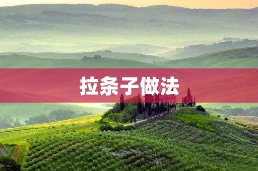 拉条子做法:让你轻松掌握的美食技巧 拉条子做法:让你轻松掌握的美食技巧