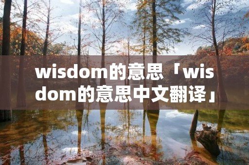 wisdom的意思「wisdom的意思中文翻译」