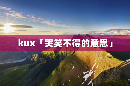 kux「哭笑不得的意思」
