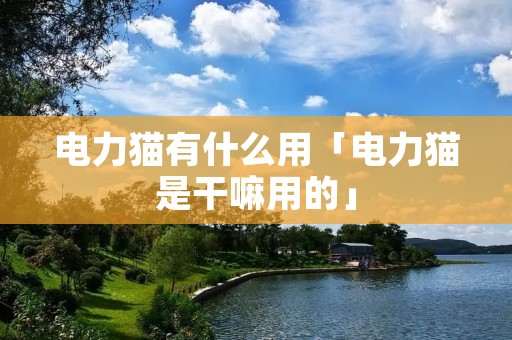 电力猫有什么用「电力猫是干嘛用的」