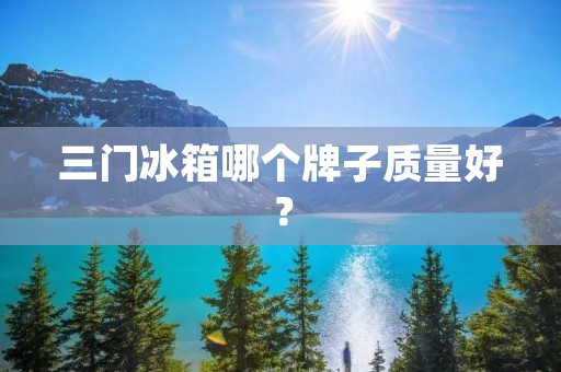 三门冰箱哪个牌子质量好？