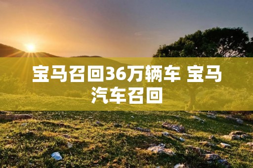 宝马召回36万辆车 宝马汽车召回