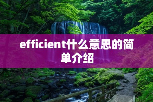efficient什么意思的简单介绍