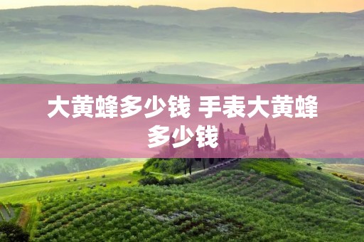 大黄蜂多少钱 手表大黄蜂多少钱