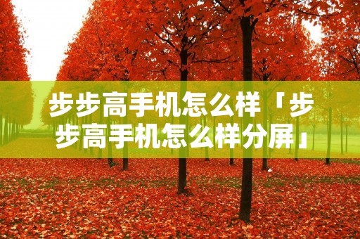 步步高手机怎么样「步步高手机怎么样分屏」