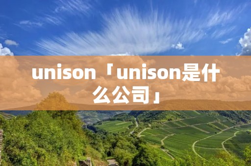 unison「unison是什么公司」