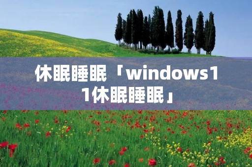 休眠睡眠「windows11休眠睡眠」 休眠睡眠「windows11休眠睡眠」