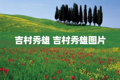 吉村秀雄 吉村秀雄图片