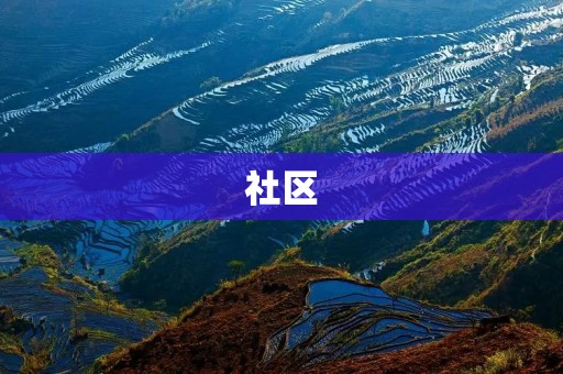 社区：创造共融与互助的精神之家