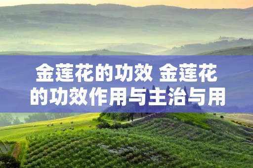 金莲花的功效 金莲花的功效作用与主治与用量