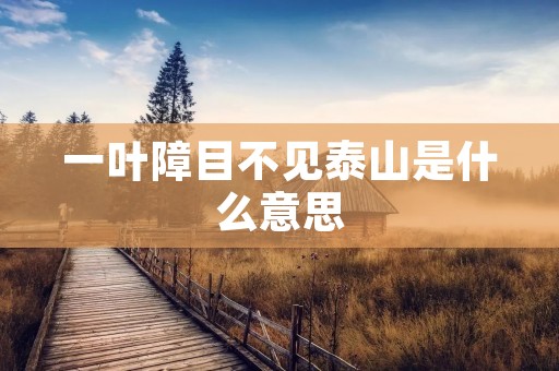一叶障目不见泰山是什么意思