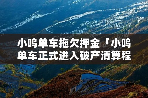 小鸣单车拖欠押金「小鸣单车正式进入破产清算程序,消费者押金有望退还」 小鸣单车拖欠押金「小鸣单车正式进入破产清算程序,消费者押金有望退还」