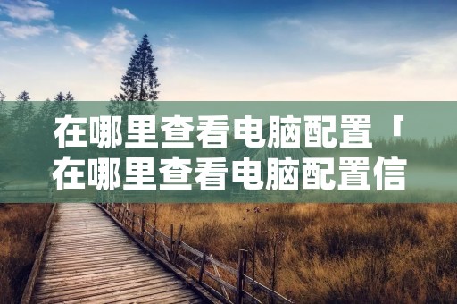 在哪里查看电脑配置「在哪里查看电脑配置信息」