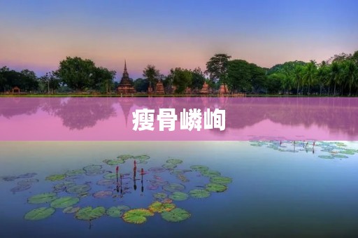 瘦骨嶙峋:探索人们骨瘦如柴的背后故事