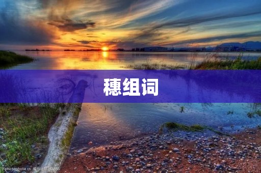 穗组词:探究中国传统文化中的“穗”