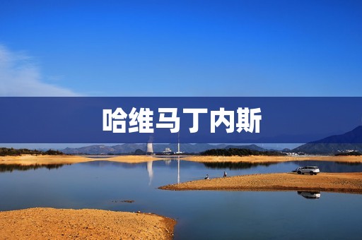 哈维马丁内斯：一位足球天才的崛起