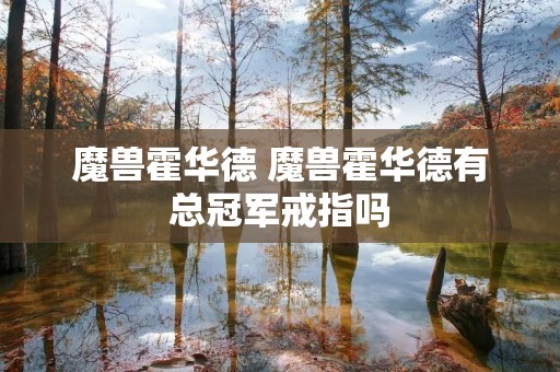 魔兽霍华德 魔兽霍华德有总冠军戒指吗