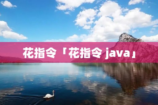 花指令「花指令 java」 花指令「花指令 java」
