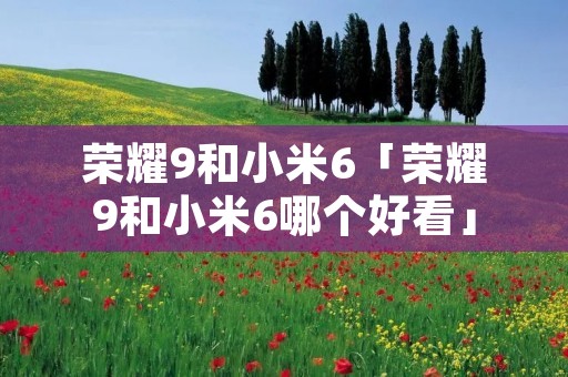 荣耀9和小米6「荣耀9和小米6哪个好看」