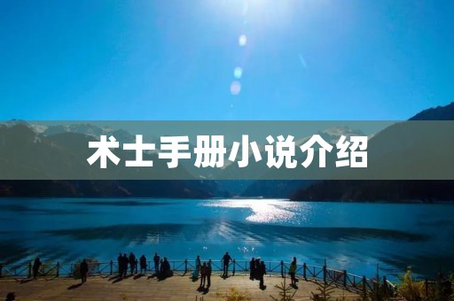 术士手册小说介绍