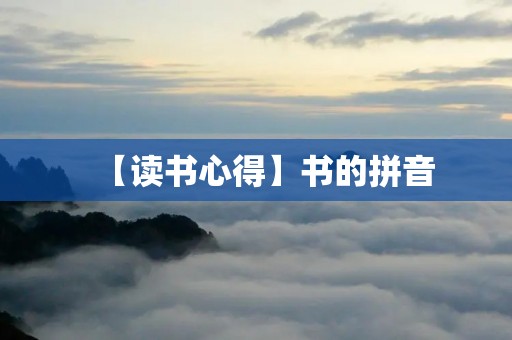 【读书心得】书的拼音:传承与创新的艺术