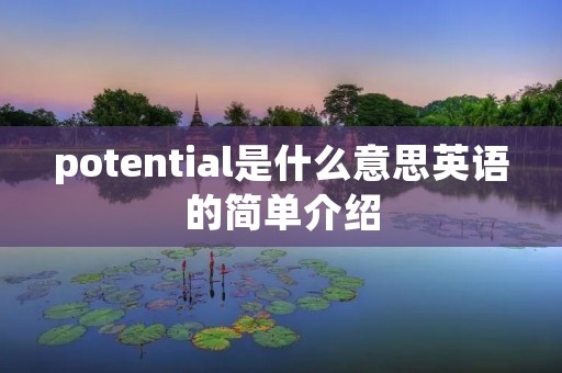 potential是什么意思英语的简单介绍 potential是什么意思英语的简单介绍