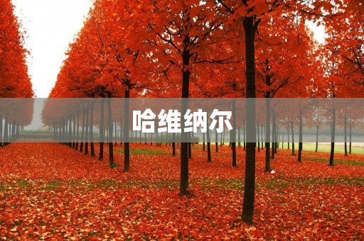 哈维纳尔：一位独具魅力的音乐天才