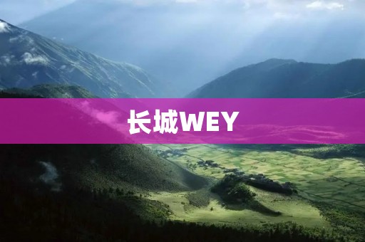 长城WEY：突破传统，开创新纪元