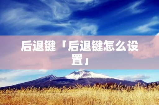 后退键「后退键怎么设置」
