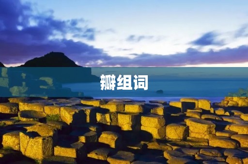 瓣组词:探索花瓣的美丽与奥秘