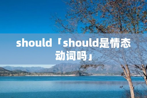 should「should是情态动词吗」