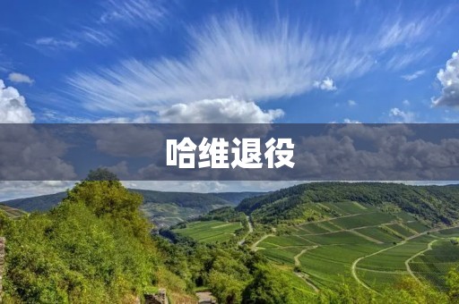 哈维退役:西班牙足球传奇的告别 哈维退役:西班牙足球传奇的告别