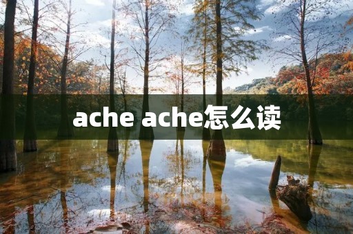 ache ache怎么读