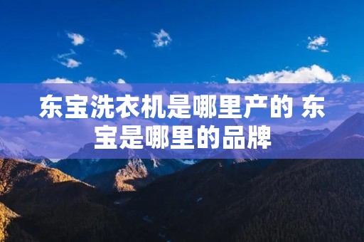 东宝洗衣机是哪里产的 东宝是哪里的品牌