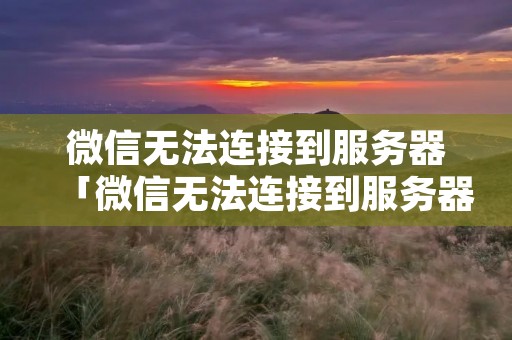 微信无法连接到服务器「微信无法连接到服务器是怎么回事」 微信无法连接到服务器「微信无法连接到服务器是怎么回事」