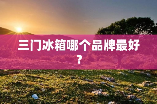 三门冰箱哪个品牌最好? 三门冰箱哪个品牌最好?