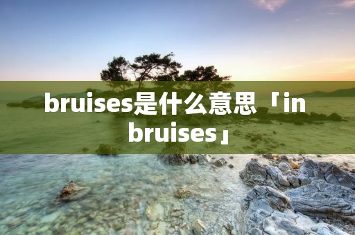 bruises是什么意思「in bruises」