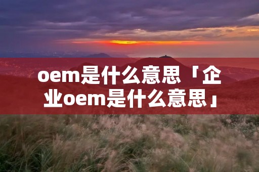 oem是什么意思「企业oem是什么意思」