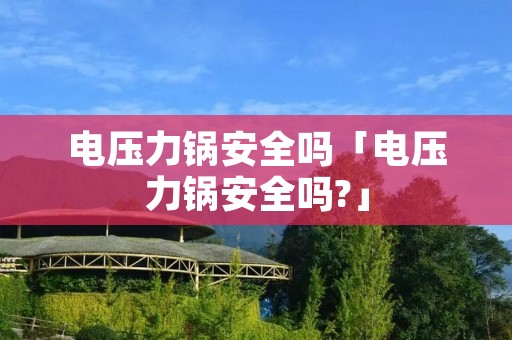 电压力锅安全吗「电压力锅安全吗?」