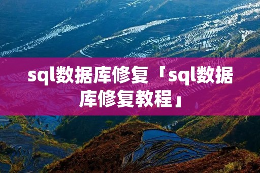 sql数据库修复「sql数据库修复教程」