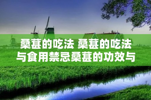 桑葚的吃法 桑葚的吃法与食用禁忌桑葚的功效与作用