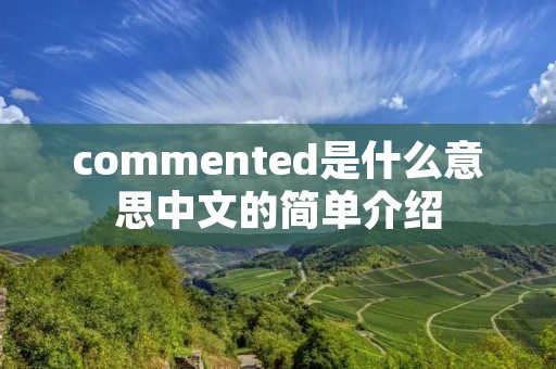 commented是什么意思中文的简单介绍